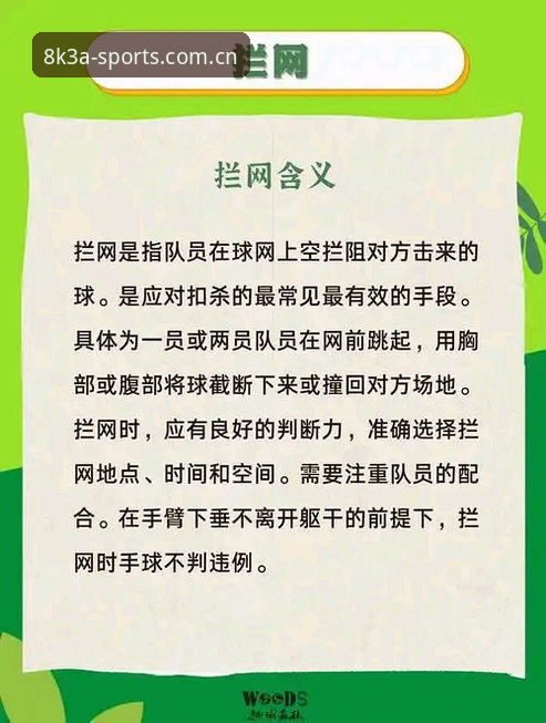 亚体育平台安全使用实用指南：从安装到日常操作的必备知识
